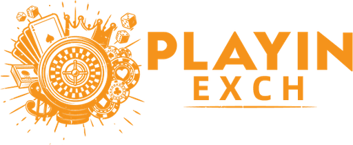playinexch Logo